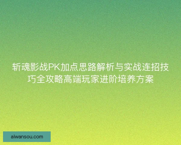 斩魂影战PK加点思路解析与实战连招技巧全攻略高端玩家进阶培养方案