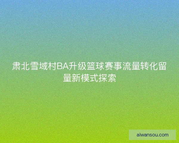 肃北雪域村BA升级篮球赛事流量转化留量新模式探索