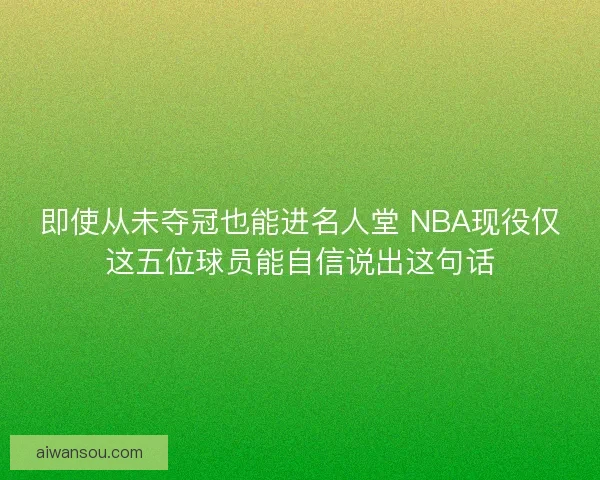 即使从未夺冠也能进名人堂 NBA现役仅这五位球员能自信说出这句话